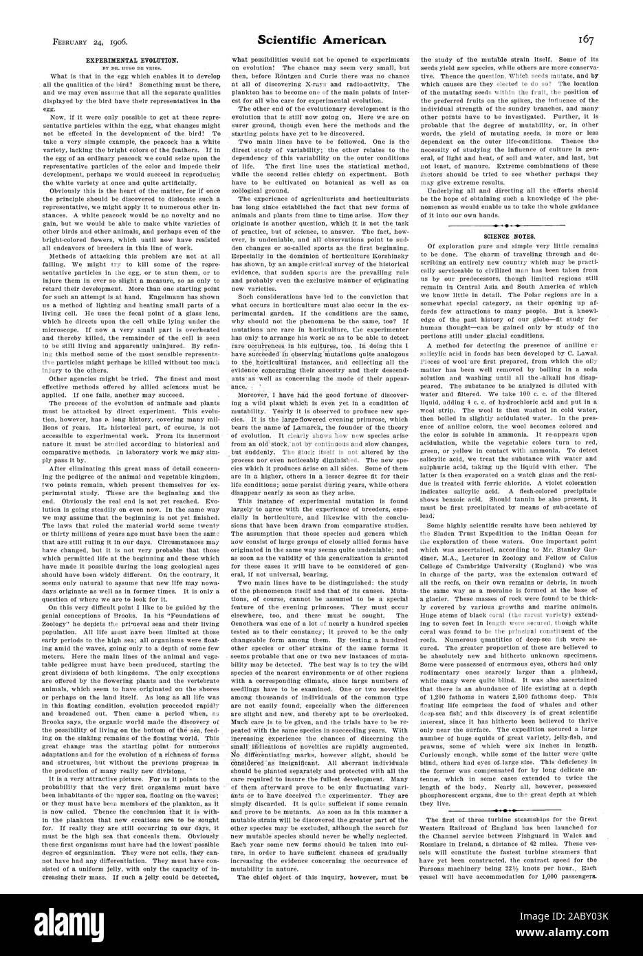 Evoluzione sperimentale. La scienza note., Scientific American, 1906-02-24 Foto Stock