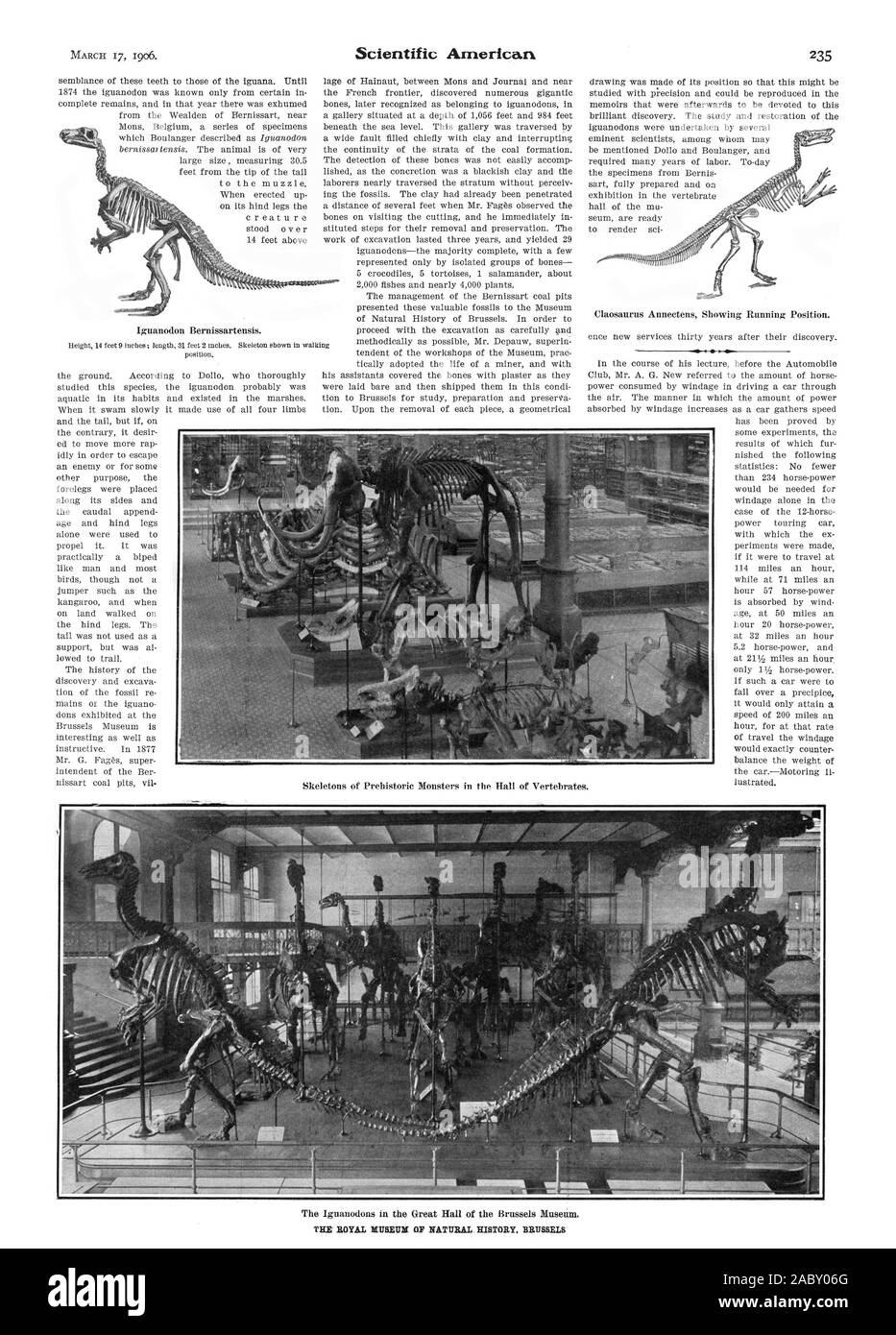 Il Regio Museo di Storia Naturale. Bruxelles, Scientific American, 06-03-17 Foto Stock