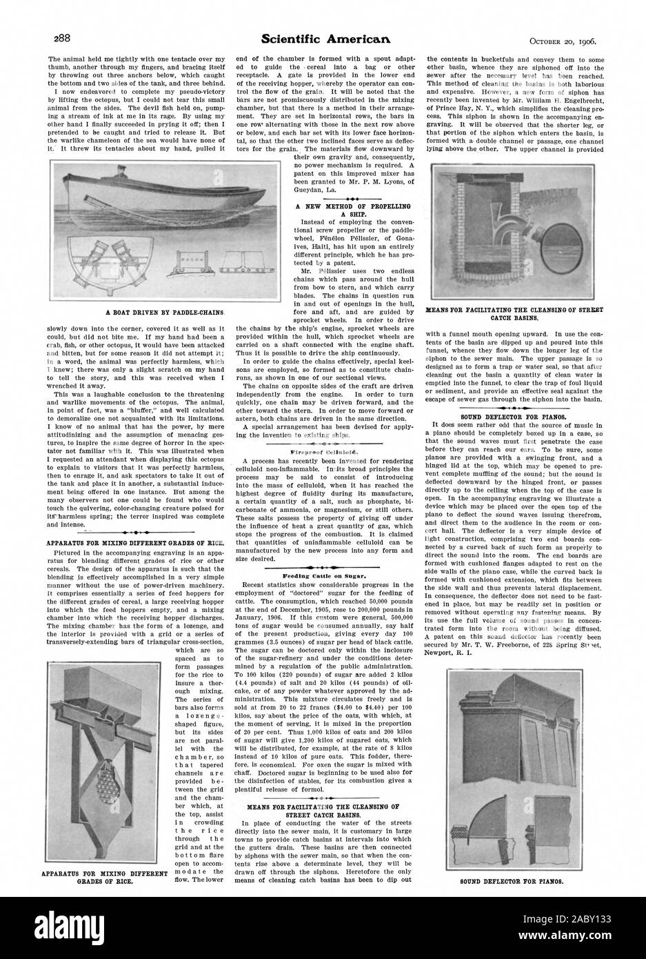 La Celluloide ignifughi. L' ALIMENTAZIONE DEL BESTIAME sullo zucchero. & I, Scientific American, 1906-10-11 Foto Stock