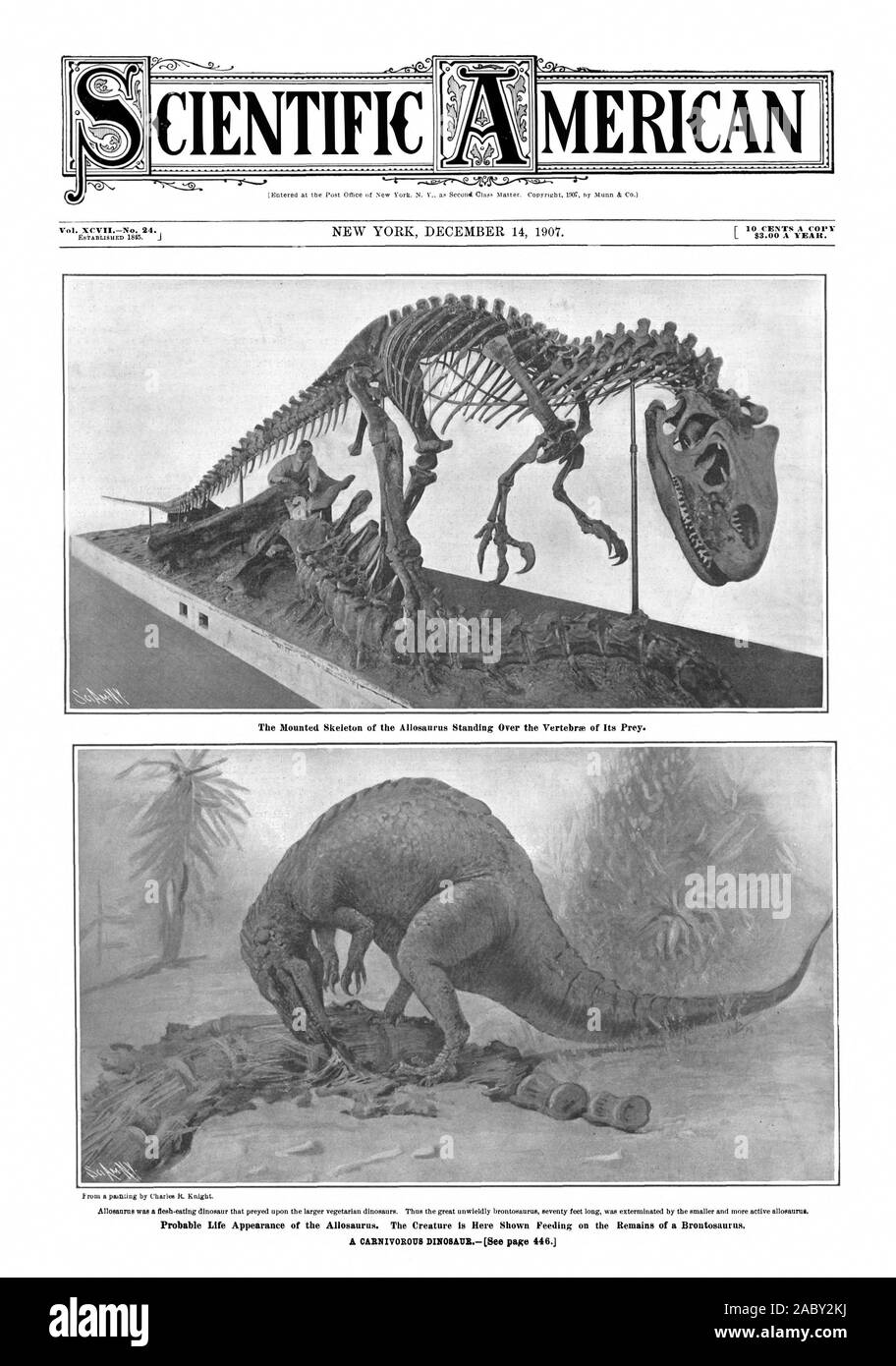 Vita probabile aspetto dell'Allosaurus. La creatura è qui mostrato l'alimentazione sui resti di un Brontosaurus. Vol. XCVIINo. 24. MERICAN scientifica il montato scheletro di Allosaurus in piedi sopra le vertebre della sua preda., Scientific American, 1907-12-14, un dinosauro carnivoro Foto Stock