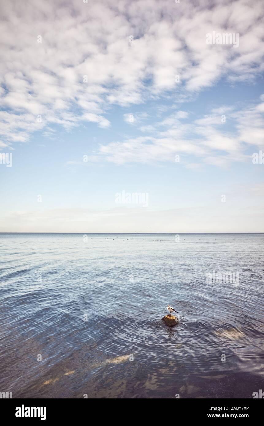 Calma seascape con un uccello su una pietra, tonificazione del colore applicato. Foto Stock