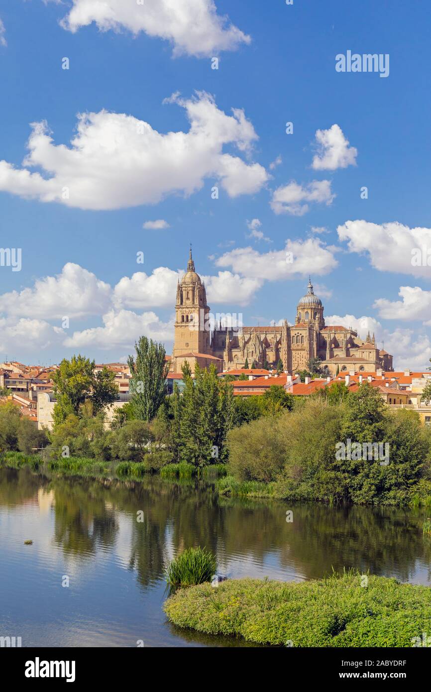 Il tardo gotica e barocca e Catedral Nueva, o la nuova cattedrale