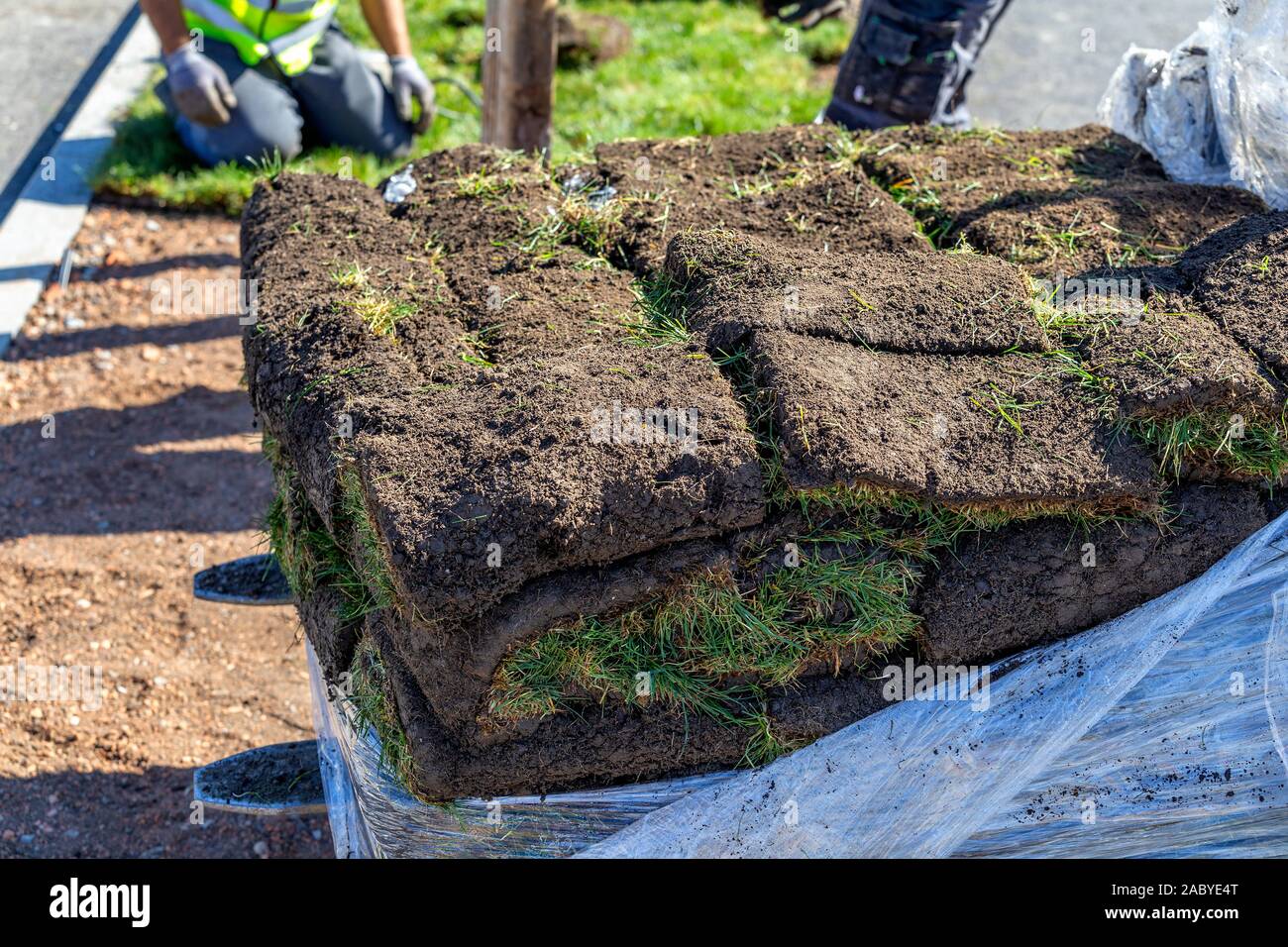 Pila di sod rotoli per nuove prato, installazione di erba. Foto Stock