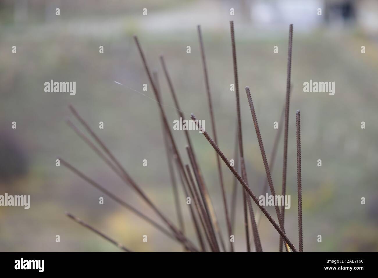 Riga di un vecchio barre di rinforzo di close-up Foto Stock