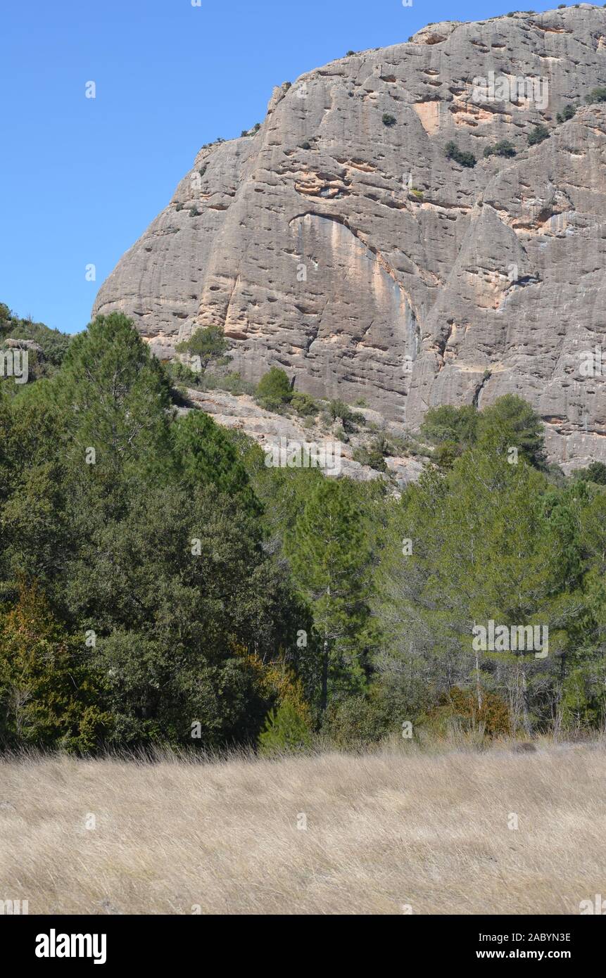 Formazioni geomorfologia di Els porte del Parco Naturale, un calcare massiccio montuoso al confine tra Aragona e Catalogna Foto Stock