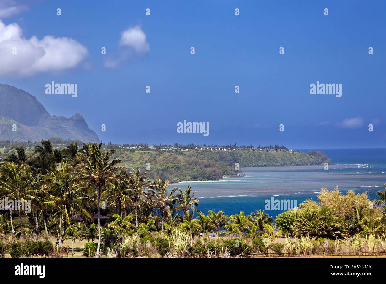 Soleggiato e Vista nebbiosa della costa hawaiana sull isola di Kauai, guardando sopra Princeville, oceano Montagna. Le palme in primo piano, un paio di nuvole. Foto Stock