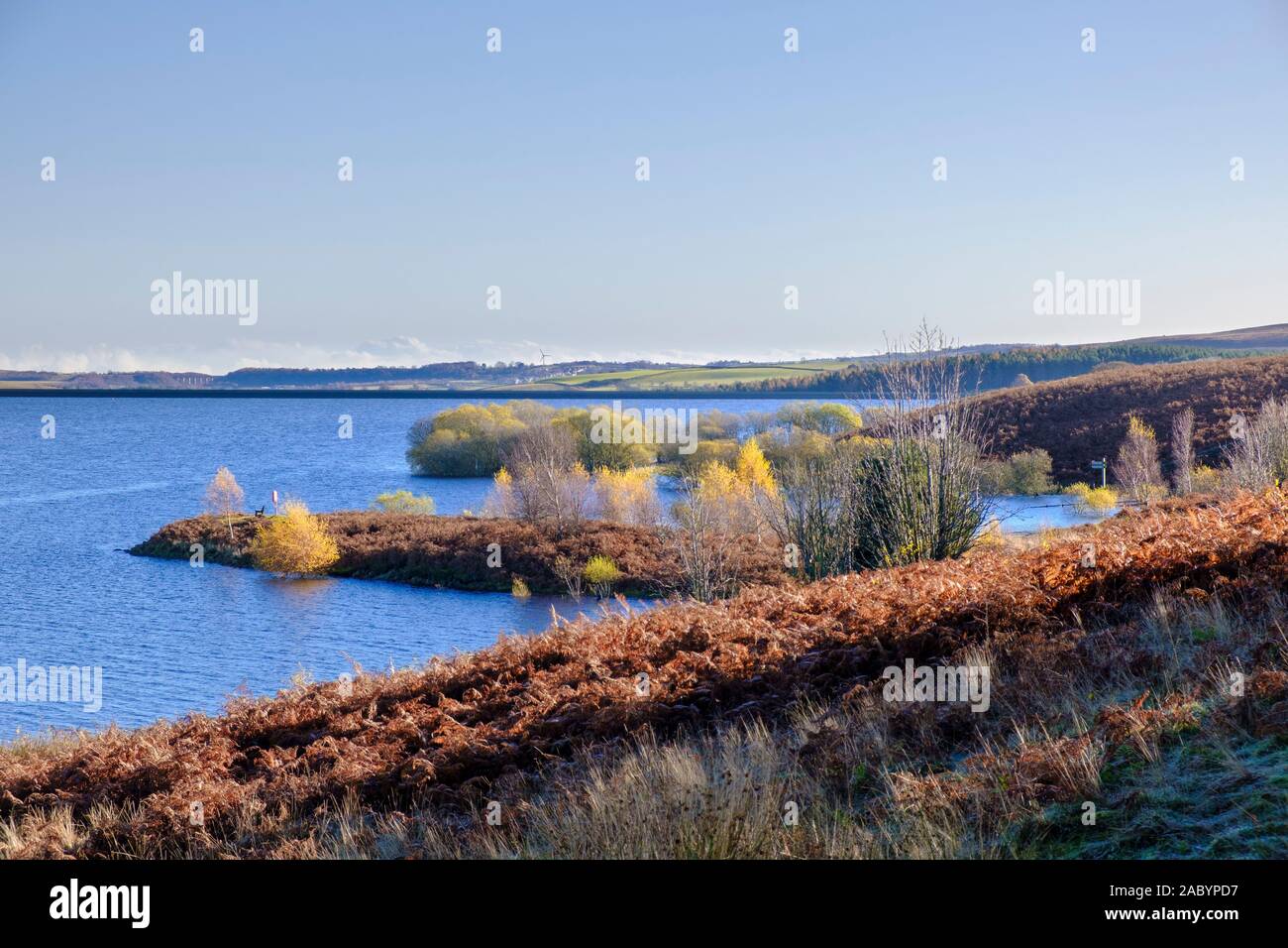 Derwent serbatoio dal Pow Hill, Northumberland Foto Stock