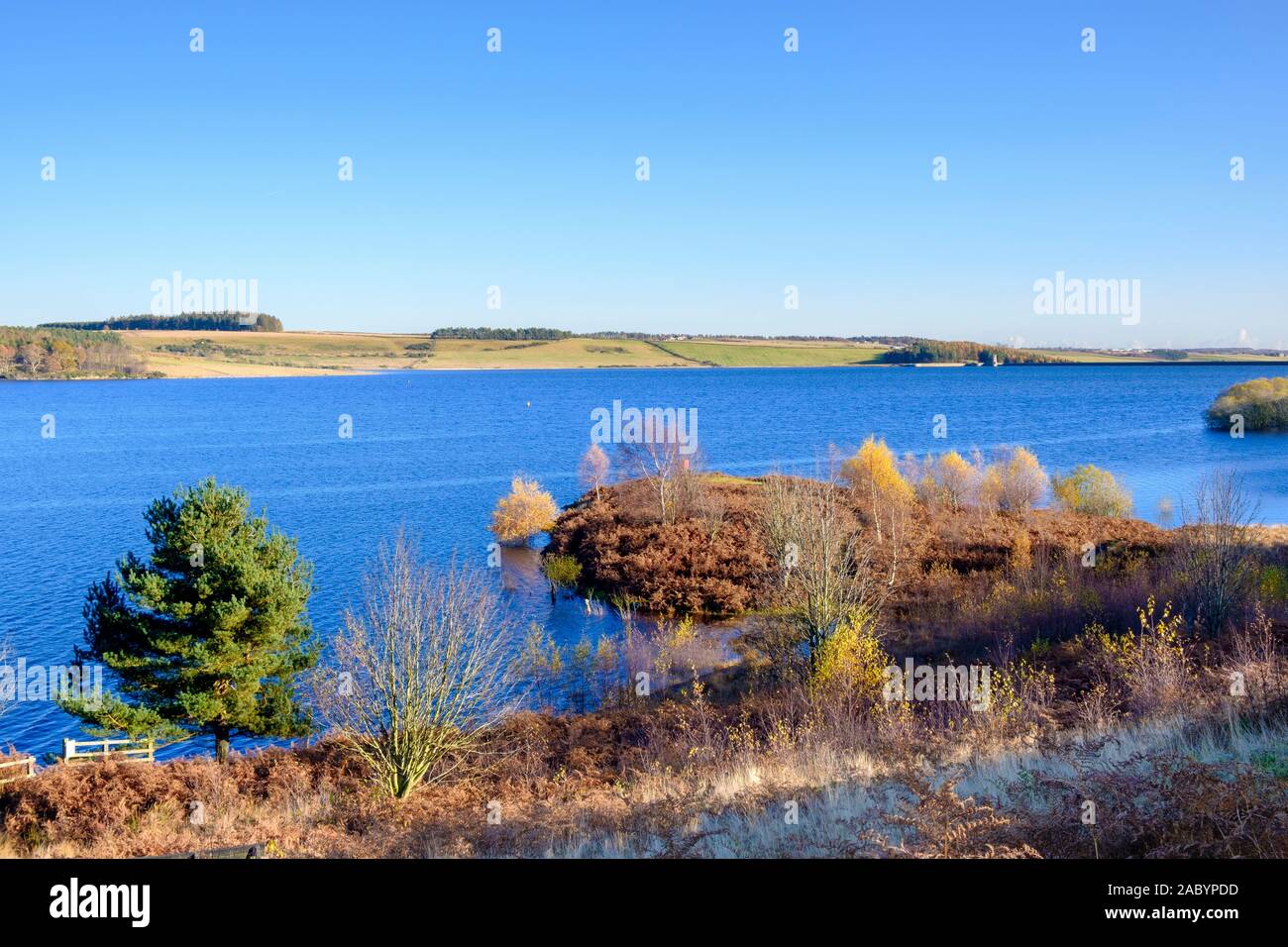 Derwent serbatoio dal Pow Hill, Northumberland Foto Stock