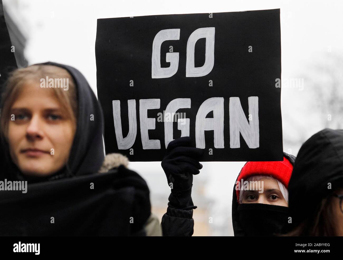 Un attivista detiene una targhetta che dice Go vegan durante il clima globale strike.Questa è la quarta global strike in 2019, che avviene come parte delle dimostrazioni settimanale del venerdì per il futuro movimento della gioventù di tutto il mondo. "Avanti dell'ONU COP25 Conferenza sui cambiamenti climatici che si terrà a Madrid 2-13 Dicembre, il Parlamento europeo il giovedì, ha approvato una risoluzione che dichiara un clima e un'emergenza ambientale in Europa e nel mondo", un comunicato stampa del Parlamento europeo informava il 28 novembre 2019. Foto Stock