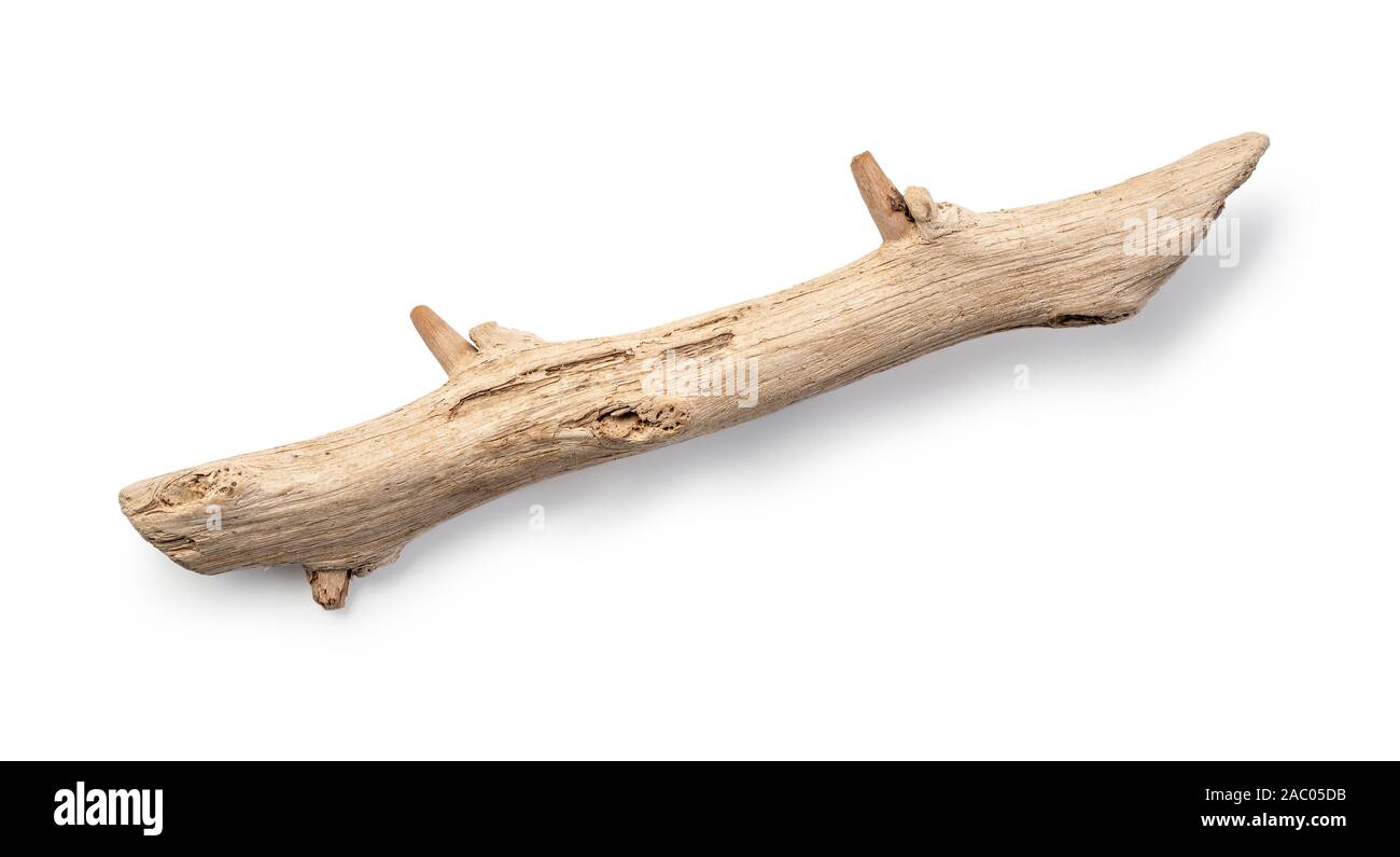 Driftwood/ legno invecchiato su sfondo bianco. Pezzo isolato di driftwood stick top view close up. Foto Stock