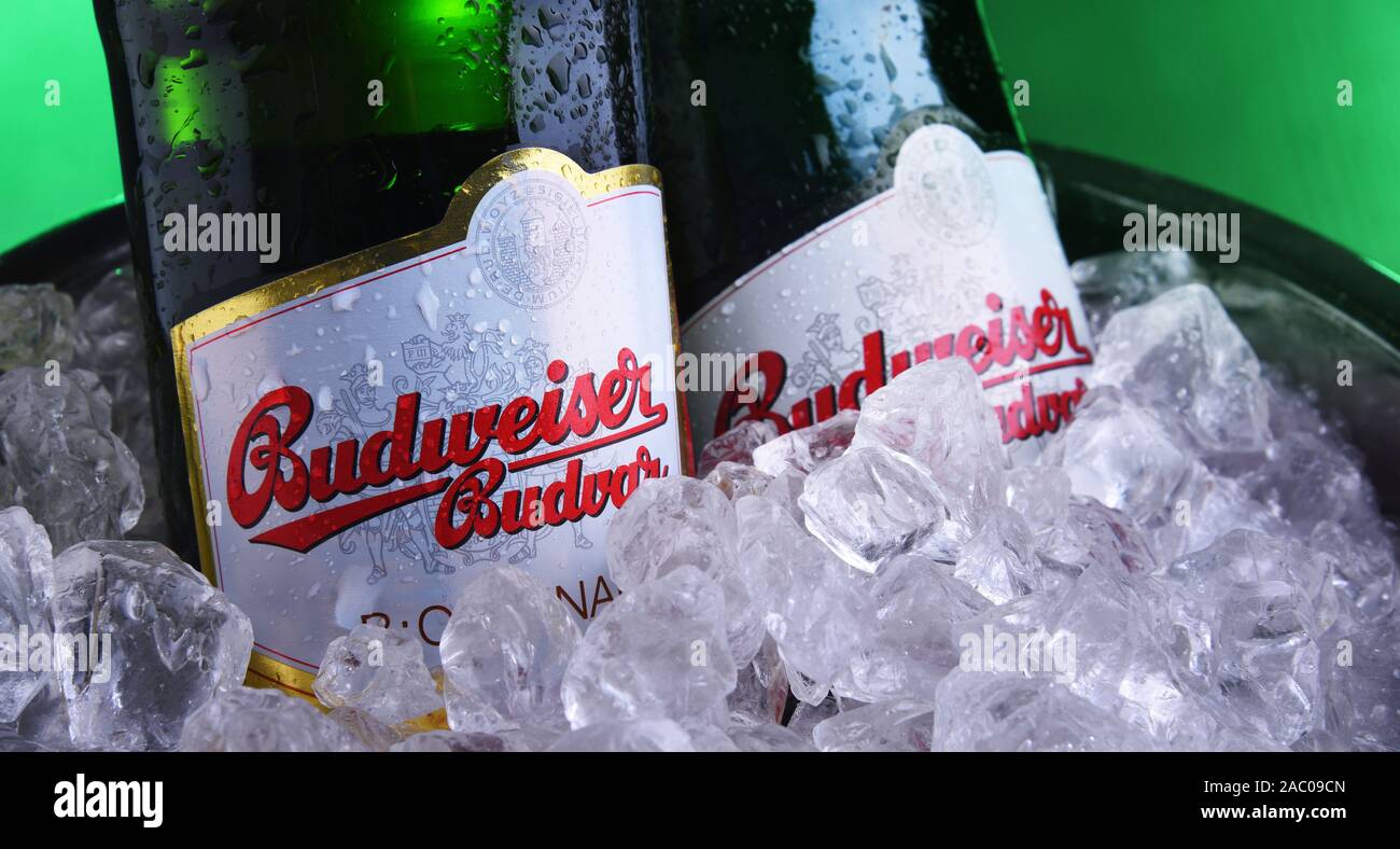 POZNAN, POL - 7 Nov, 2019: bottiglie di Budweiser Budvar, uno dei più alti la vendita di birre nella Repubblica Ceca sono esportati in più di 60 paesi, produ Foto Stock