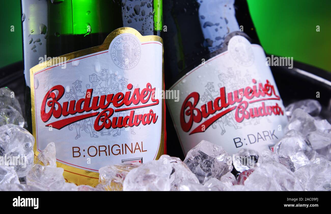 POZNAN, POL - 7 Nov, 2019: bottiglie di Budweiser Budvar, uno dei più alti la vendita di birre nella Repubblica Ceca sono esportati in più di 60 paesi, produ Foto Stock