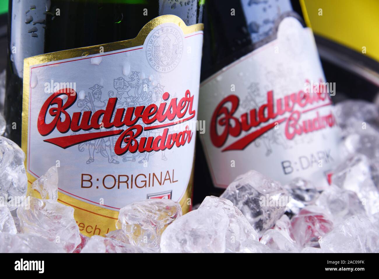 POZNAN, POL - 7 Nov, 2019: bottiglie di Budweiser Budvar, uno dei più alti la vendita di birre nella Repubblica Ceca sono esportati in più di 60 paesi, produ Foto Stock