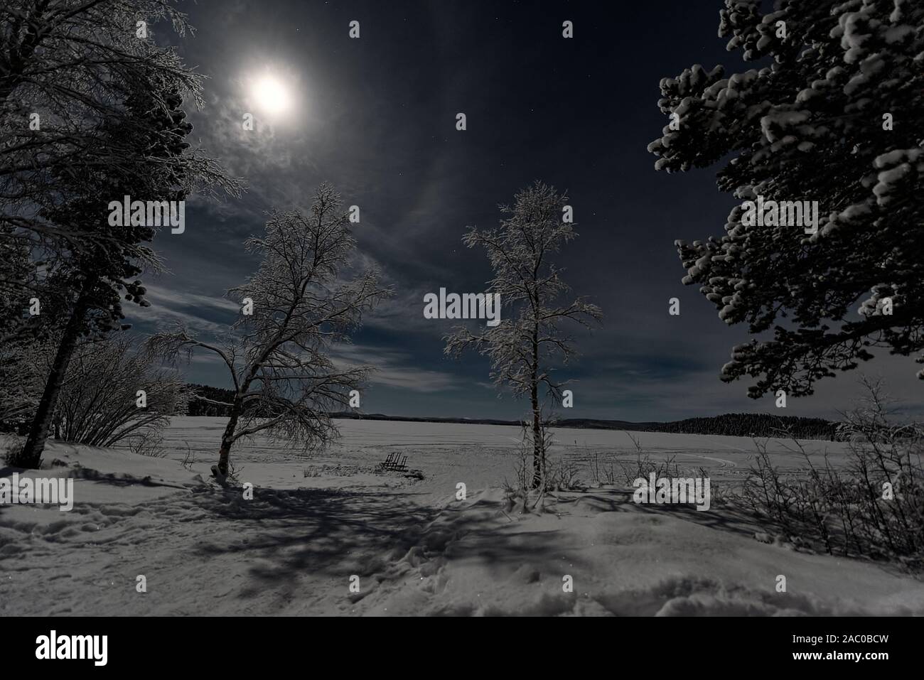Finlandia, Inari - Gennaio 2019: Lappone moonlit paesaggio invernale con la foresta e il lago sul cielo blu con piena nube coprì super luna Foto Stock