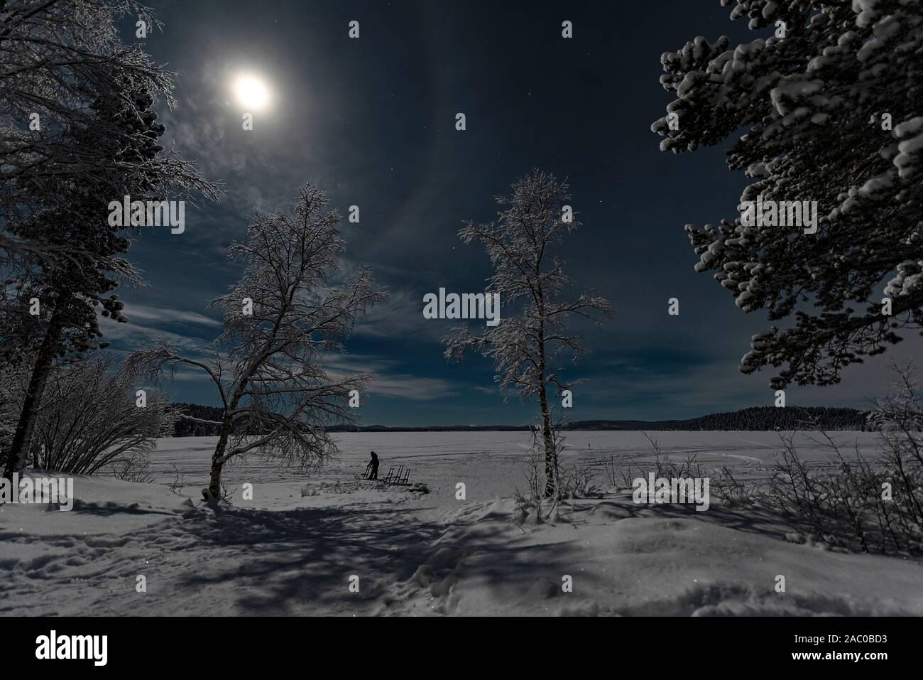 Finlandia, Inari- Gennaio 2019: Finlandia, Inari - Gennaio 2019: Lappone moonlit paesaggio invernale con la foresta e la persona che attraversa il lago sotto un blue s Foto Stock