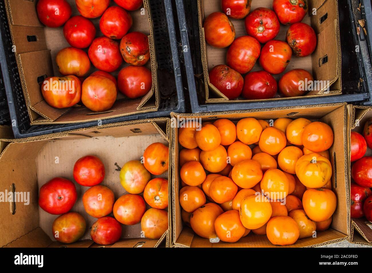Il Giallo e il rosso dei pomodori in vendita presso il locale mercato degli agricoltori. Foto Stock