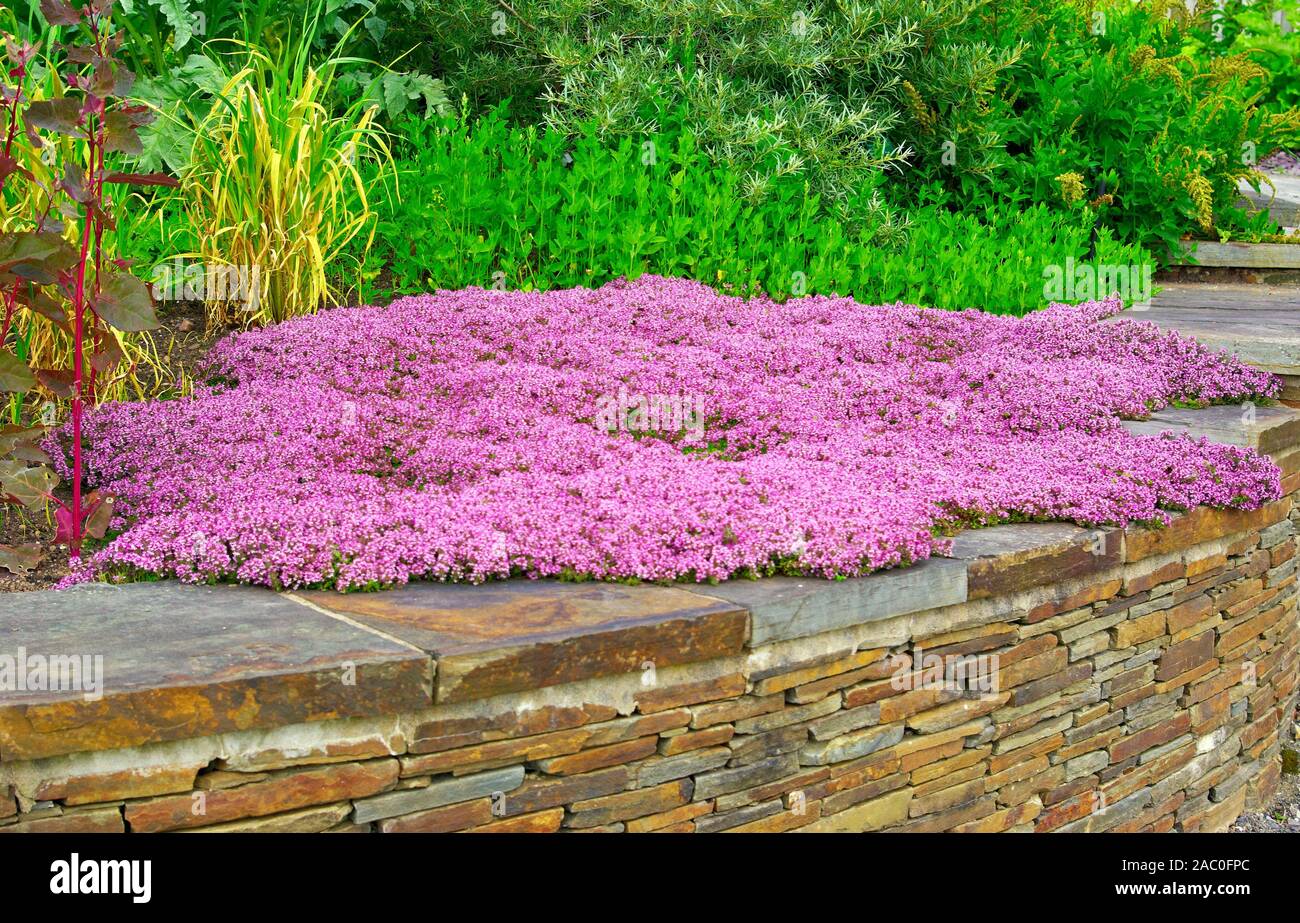 Giardino Botanico nazionale del Galles. Foto Stock