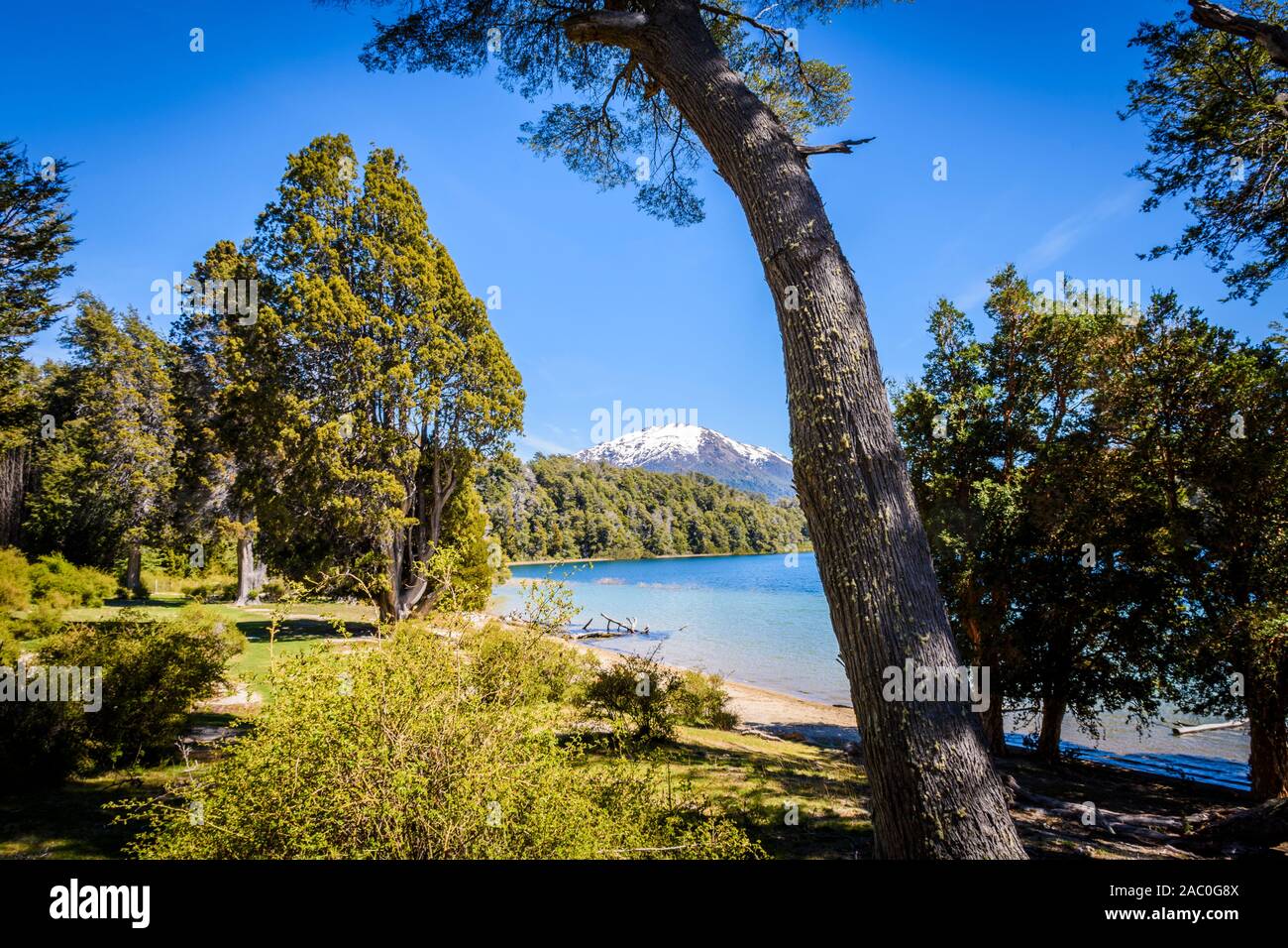 Vista panoramica della laguna Patagüa a Los Arrayanes National Park, Villa La Angostura, Patagonia, Argentina Foto Stock