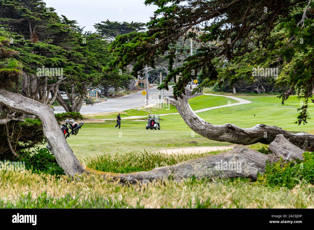 Pacific Grove Golf Links Foto Stock