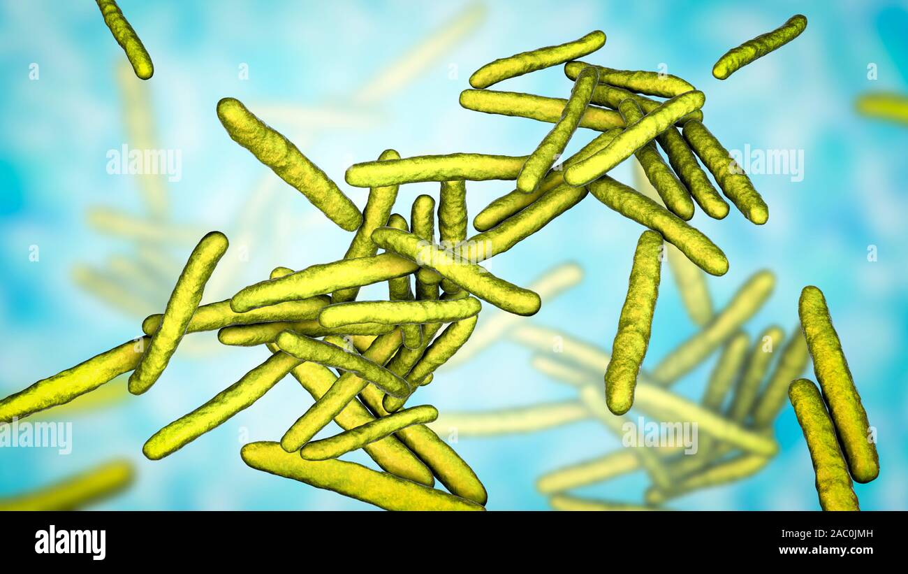La lebbra batteri, illustrazione Foto stock - Alamy