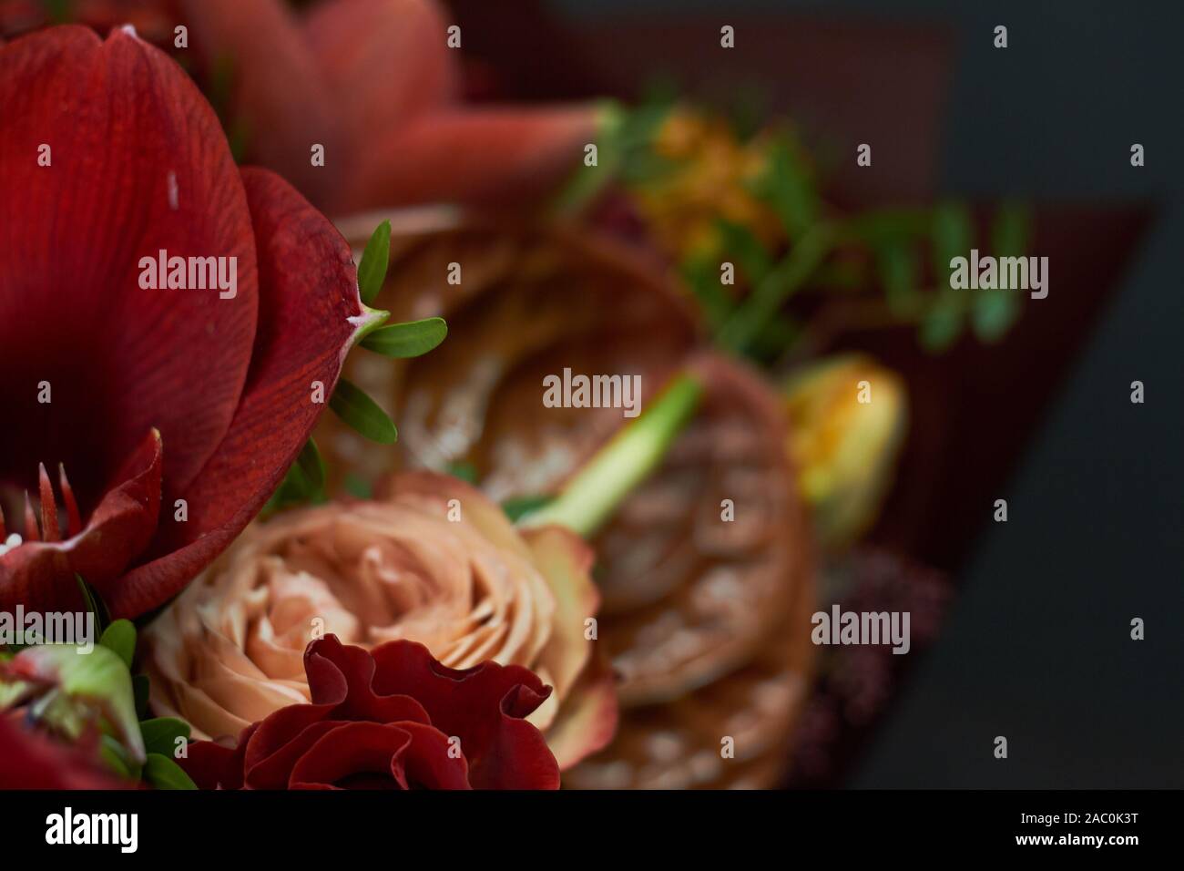 Dettaglio closeup elegante bouquet di autunno in rosso i colori in stile vintage su uno sfondo scuro, il fuoco selettivo Foto Stock