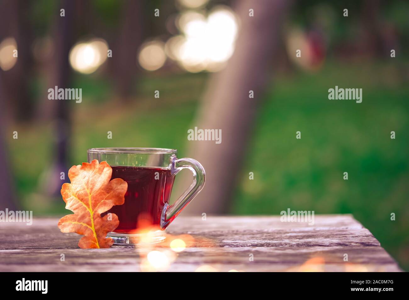 Accogliente autunno tea break con una tazza di tè , Occhiali da sole e asciugare le foglie di autunno sul vecchio vintage tavolo in legno. vista dall'alto in basso. Foto Stock