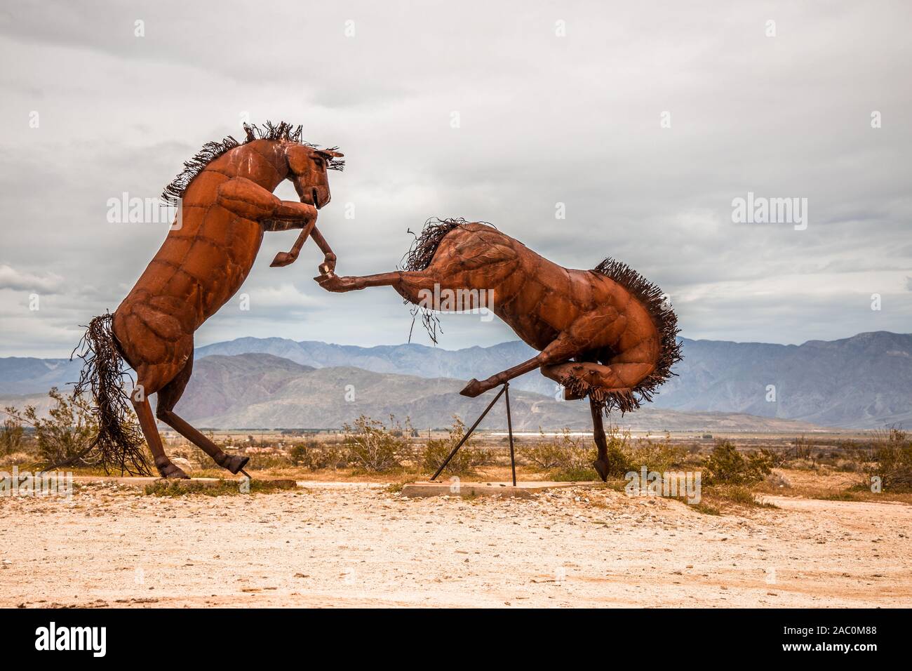 Combattimenti cavalli sculture in prati Galleta in Borrego Springs Foto Stock Combattimenti cavalli sculture in prati Galleta in Borrego Springs Foto Stock