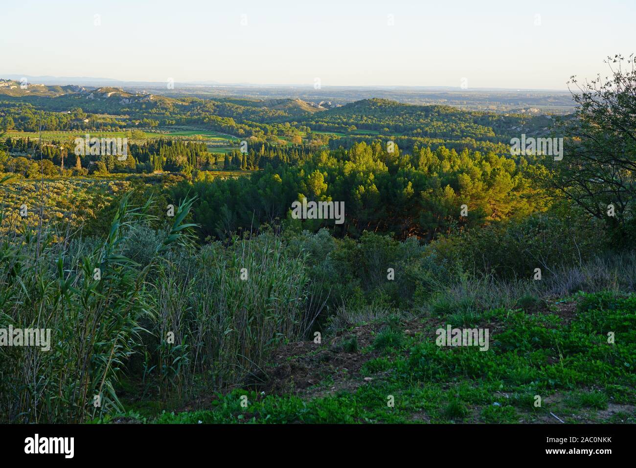 Vista tramonto delle Alpilles valle verde con uliveti sotto lo storico villaggio fortificato Les-Baux-de-Provence, in Bouches du Rhone, comprovata Foto Stock