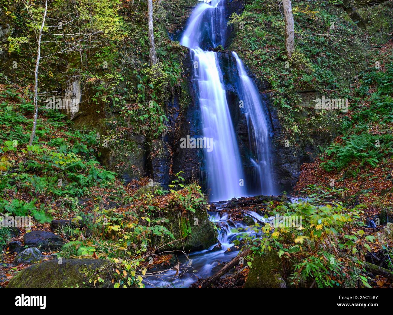 Cascata in giornata soleggiata, bella caduta delle foglie in scena a colori dell'autunno. Fiume che scorre, mossy rocce e cascate Towada Hachimantai National Park, una Foto Stock