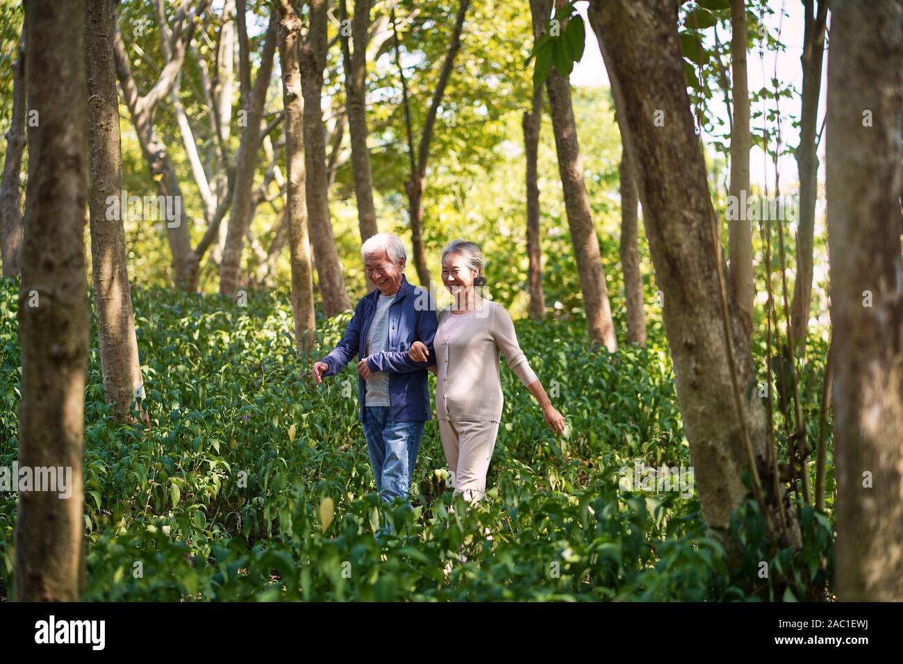 Felice coppia senior camminare a parlare in chat rilassante nei boschi Foto Stock