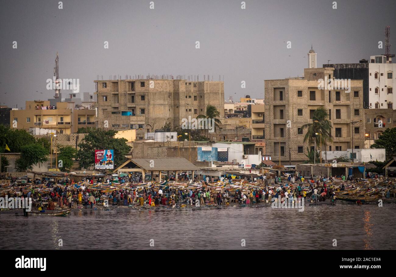 Dakar. 26 Nov, 2019. Foto scattata il 9 novembre 26, 2019 mostra la Soumbedioune mercato del pesce a Dakar, capitale del Senegal. Credito: Louis Denga/Xinhua/Alamy Live News Foto Stock