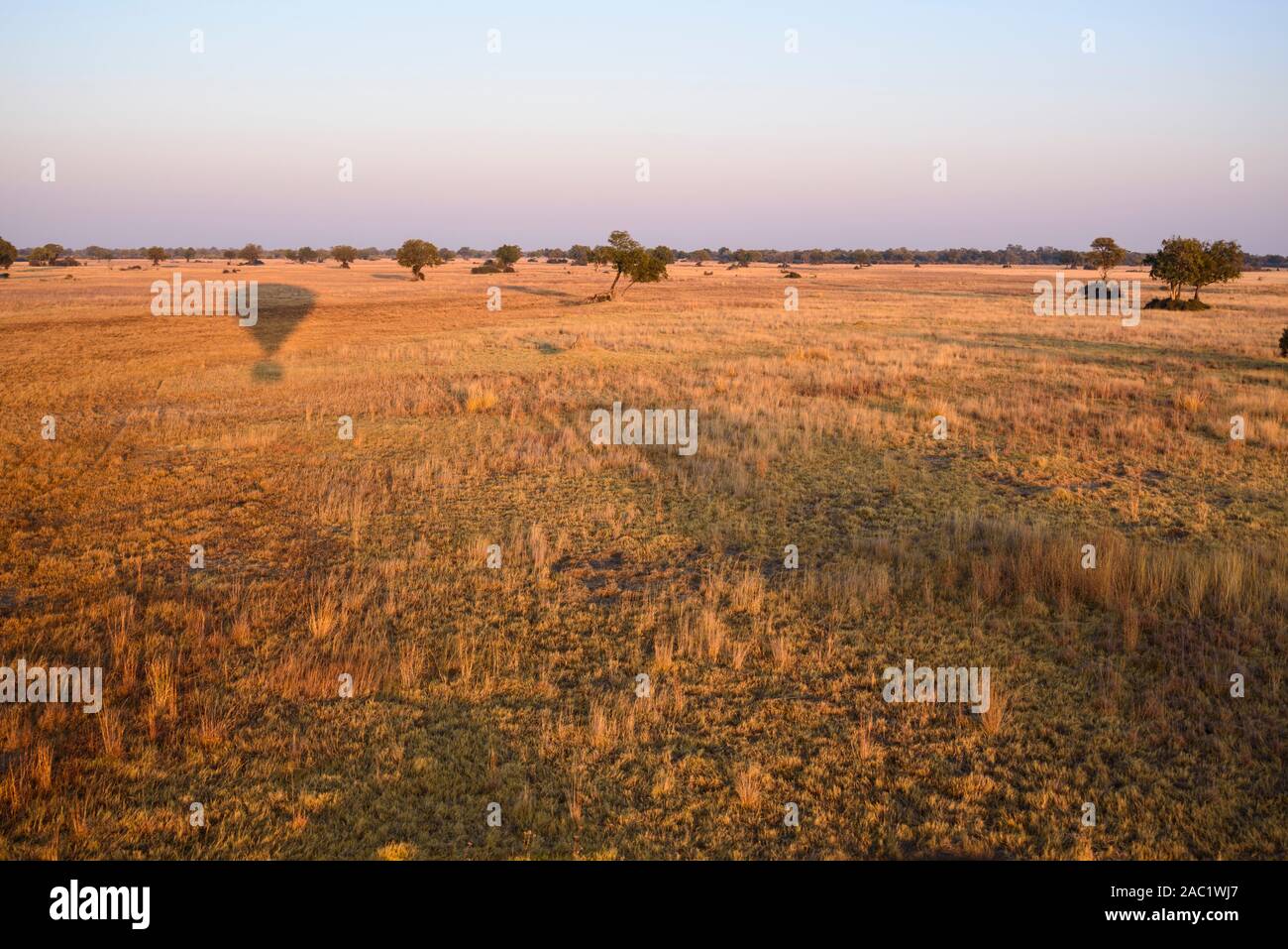 Veduta aerea del Delta di Okavango visto da un giro in mongolfiera, Bushman Plains, Delta di Okavanago, Botswana Foto Stock