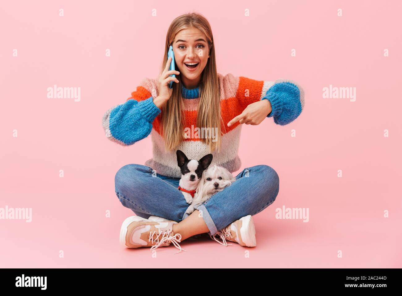 Carino adorabile ragazza che indossa un maglione seduta con le gambe incrociate con il suo animale domestico chihuahua e lapdog isolate su sfondo rosa, puntare il dito a cani wh Foto Stock
