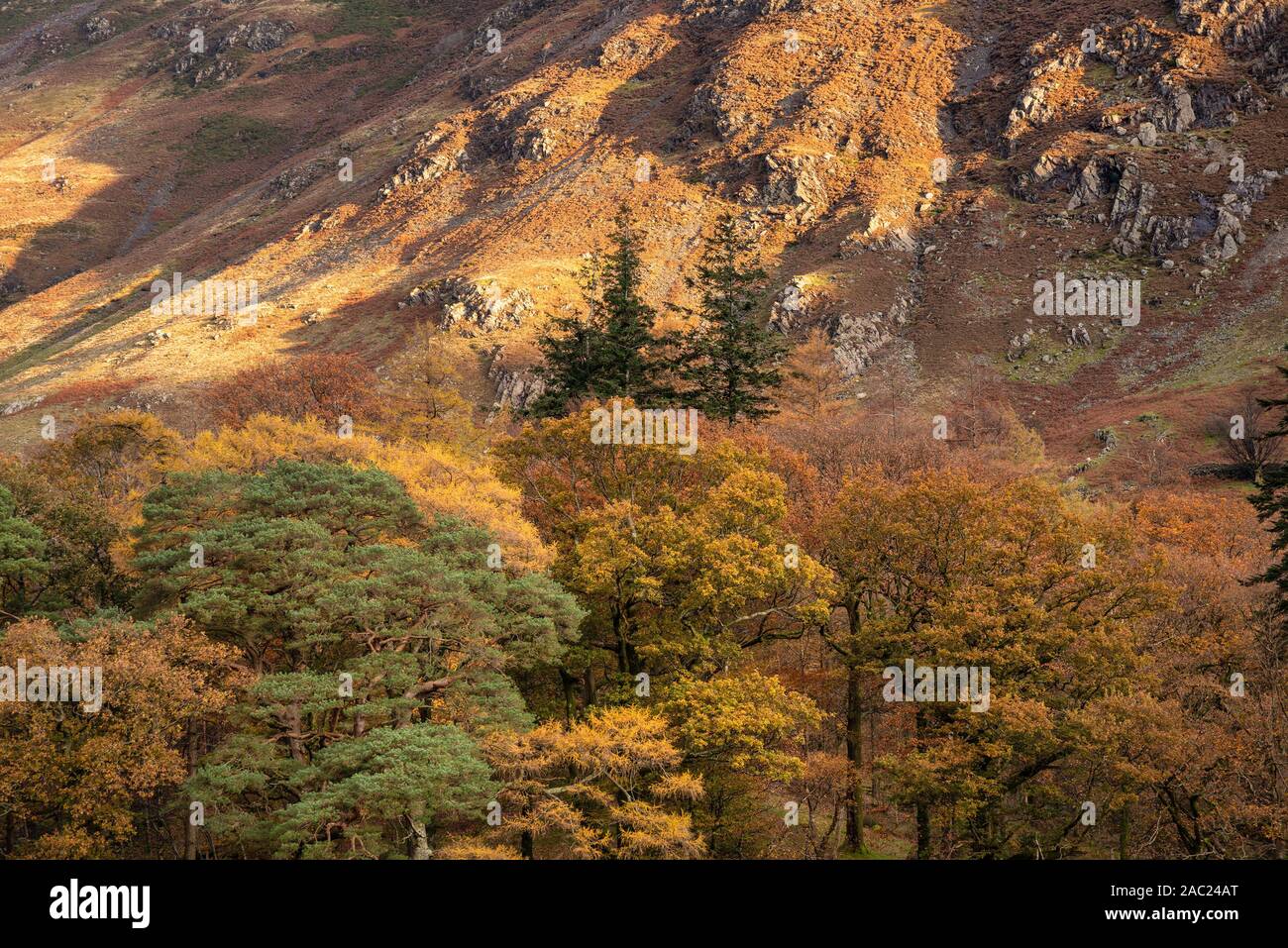 Incredibile epic Autumn Fall paesaggio Buttermere nel Lake District con una bella mattina presto la luce del sole giocando attraverso le colline e le montagne Foto Stock