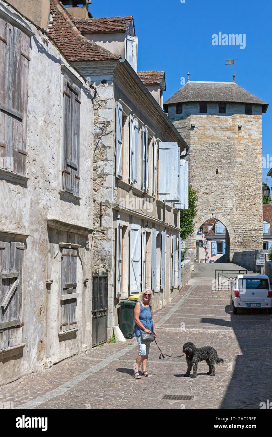 L'Europa, Francia, Nouvelle-Aquitaine, Orthez, case tradizionali su Rue du Pont Vieux con la donna a piedi il suo cane Foto Stock
