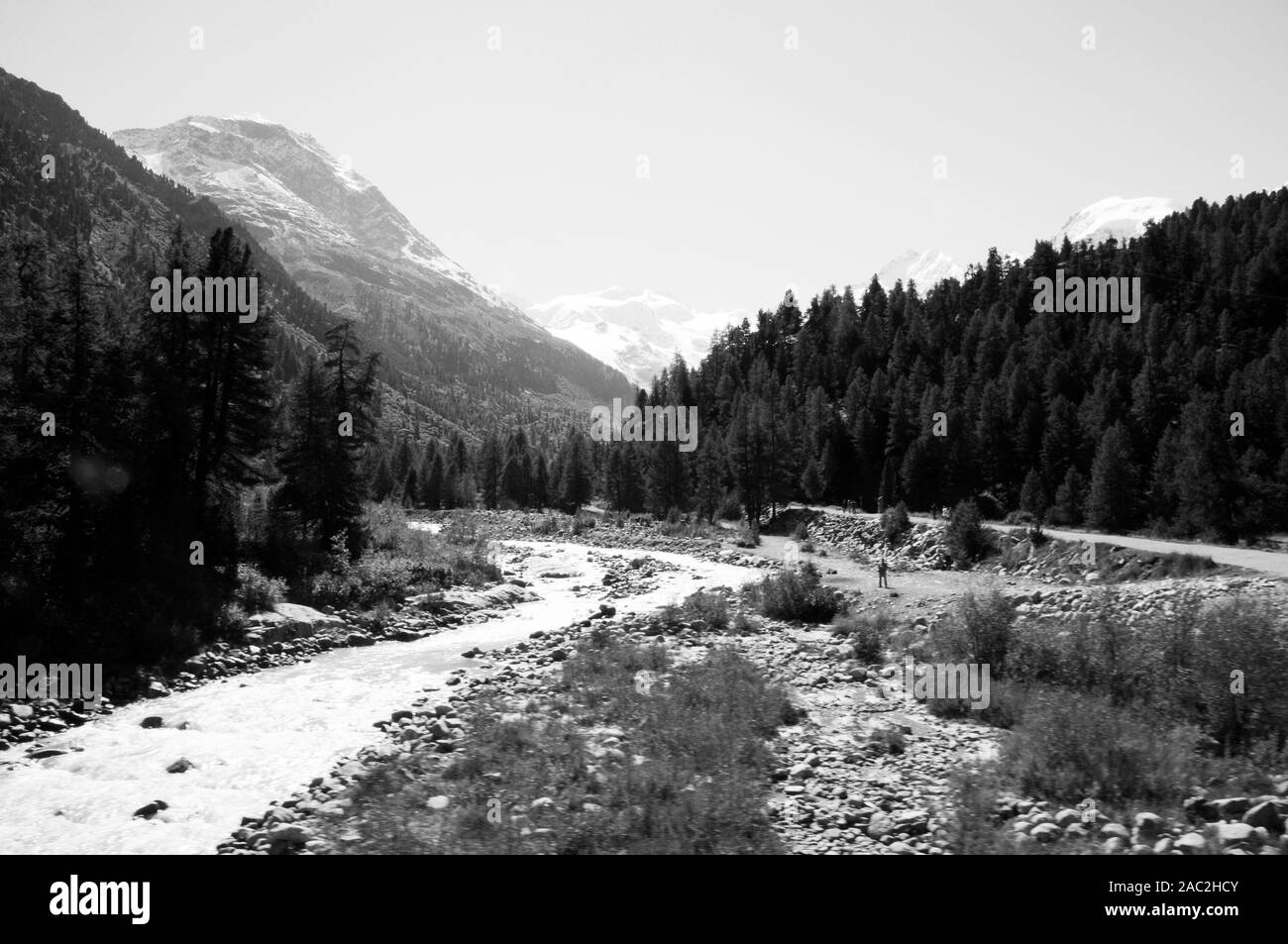 Alpi svizzere: il fiume nella valle del Morteratsch in alta Engadina Alpi svizzere è una fonte Inn-River Foto Stock