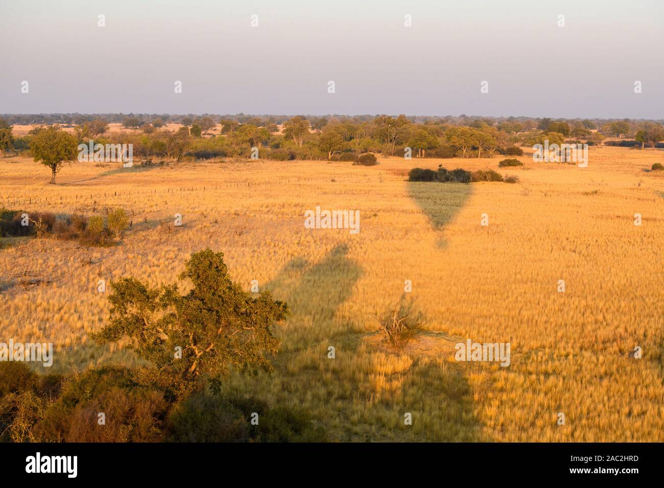 Veduta aerea del Delta di Okavango visto da un giro in mongolfiera, Bushman Plains, Delta di Okavanago, Botswana Foto Stock