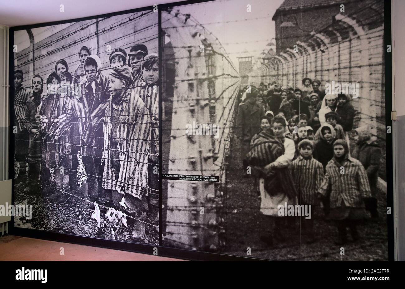 Oswiecim, Polonia. 30 Novembre, 2019. Le fotografie dei detenuti all'interno del Museo di Auschwitz i camp.In due mesi il settantacinquesimo anniversario della liberazione di Auschwitz. Il tedesco più grande campo di lavoro e sterminio nazista KL Auschwitz-Birkenau fu liberata da parte dell'Armata Rossa il 27 gennaio 1945. Credito: Damian Klamka/ZUMA filo/Alamy Live News Foto Stock