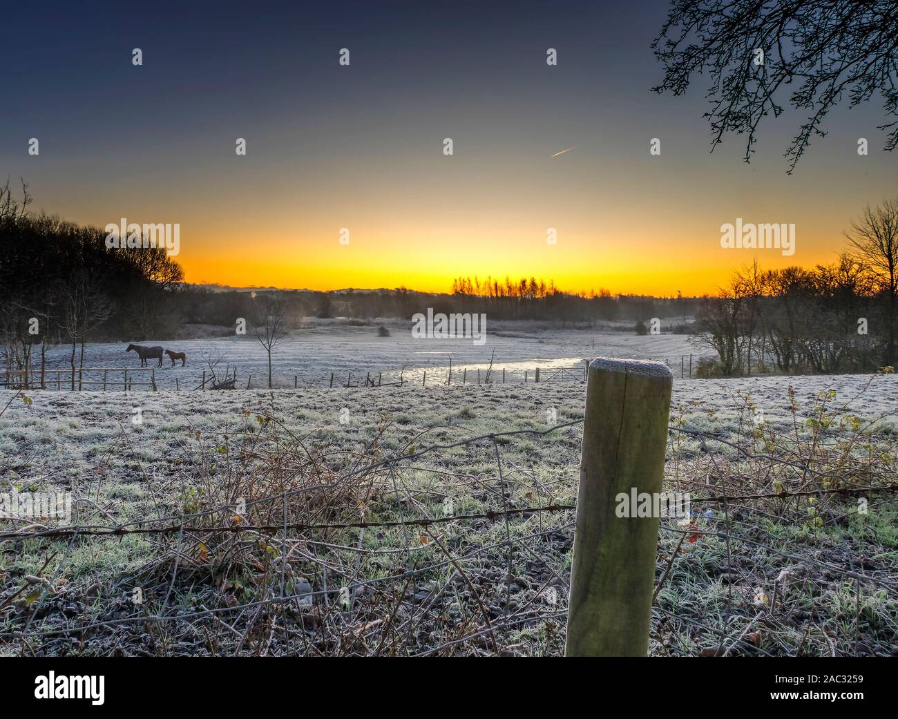 Avviamento a freddo al giorno. Foto Stock