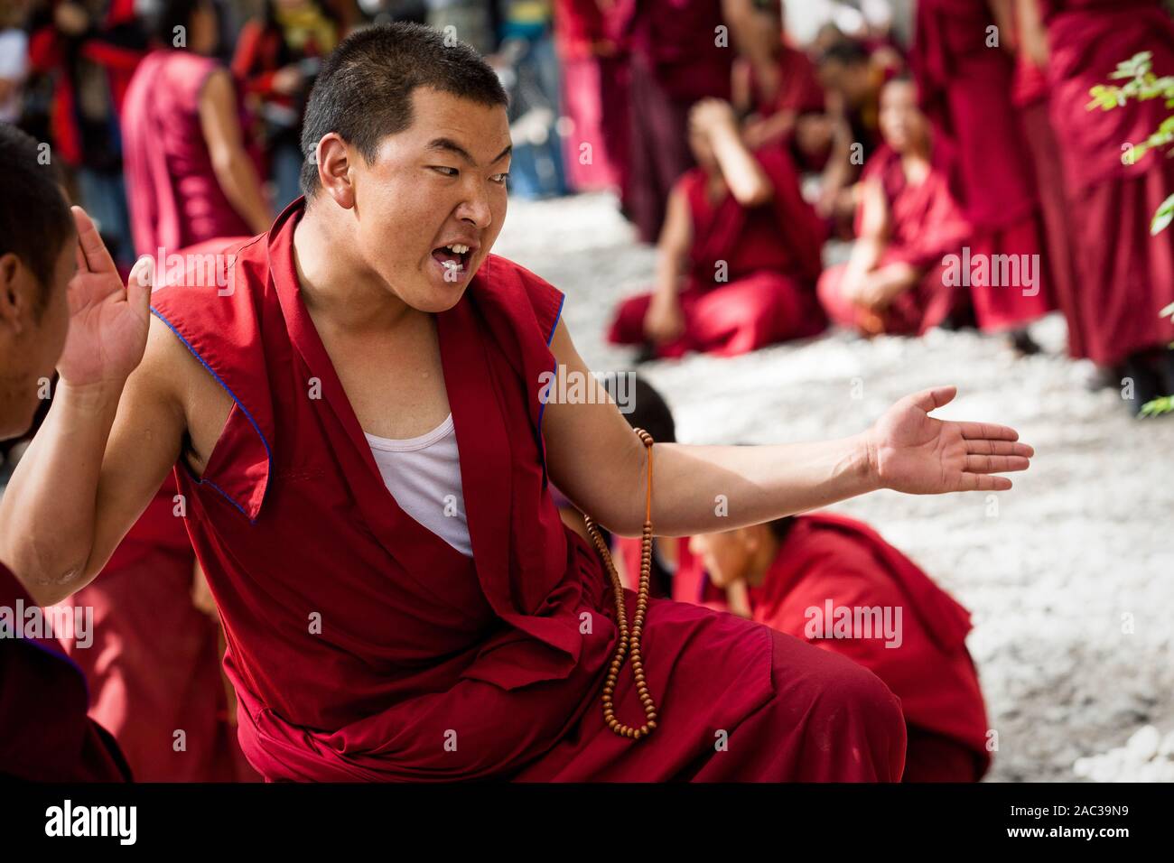 Monaco durante un dibattito filosofico al monastero di Sera, il Tibet. Foto Stock