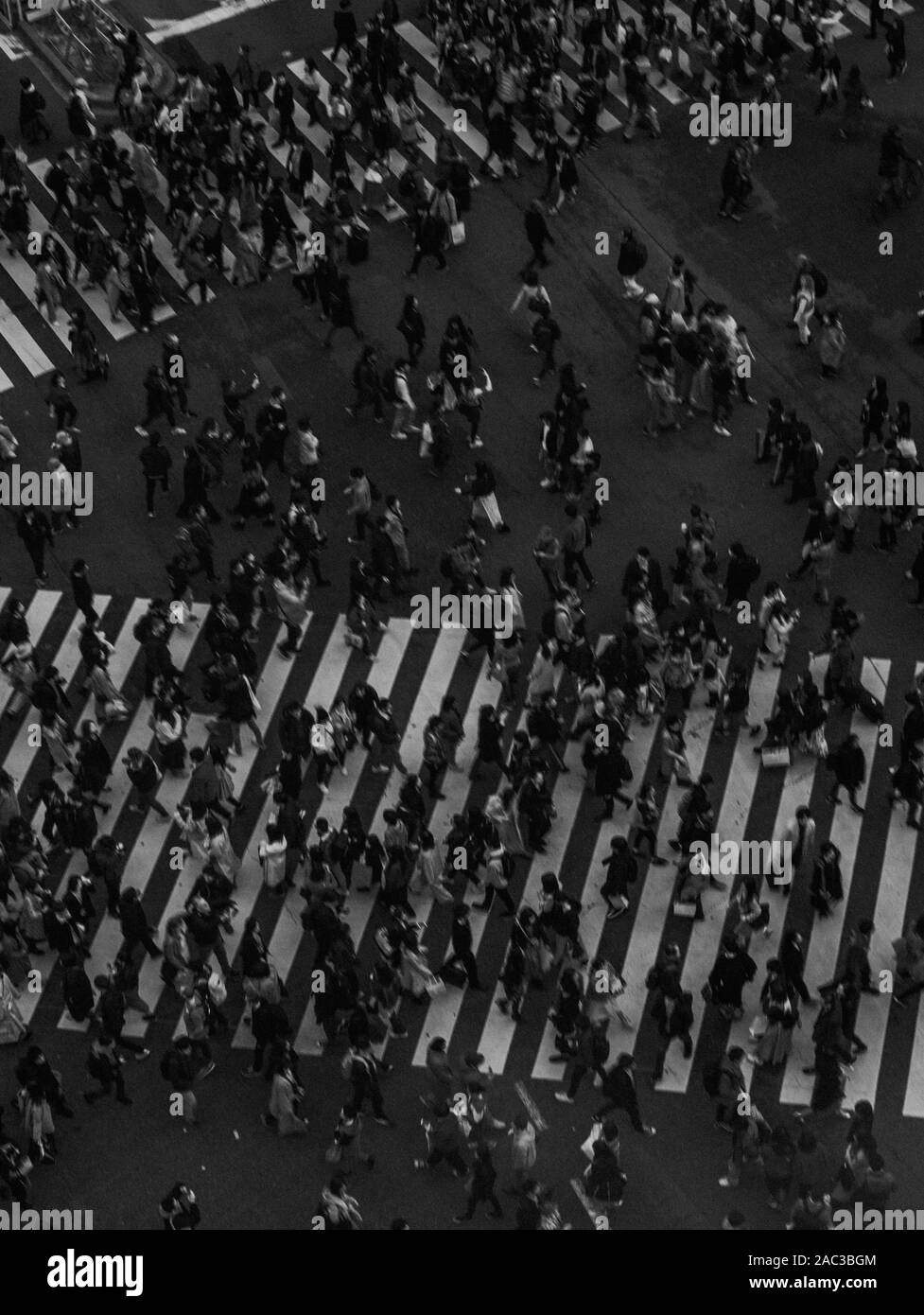 Viaggi in Giappone Foto Stock