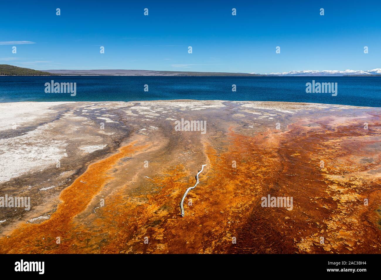 Vista panoramica di arancio listati superficie di geyser basin e acque blu di West Thumb lago con cielo blu nel Parco Nazionale di Yellowstone, Wyoming negli Stati Uniti. Foto Stock