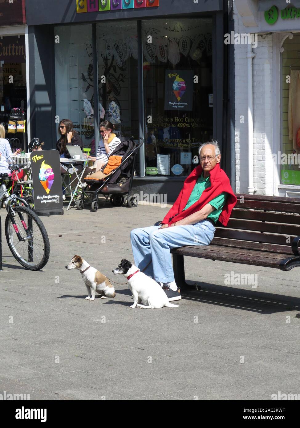 Uomo e cane in Winchester, Regno Unito. Foto Stock
