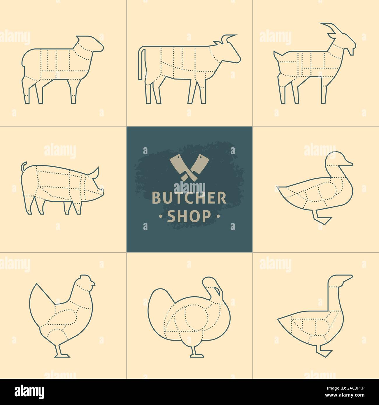 Impostare una vista schematica degli animali per il Butcher Shop. Illustrazione Vettoriale