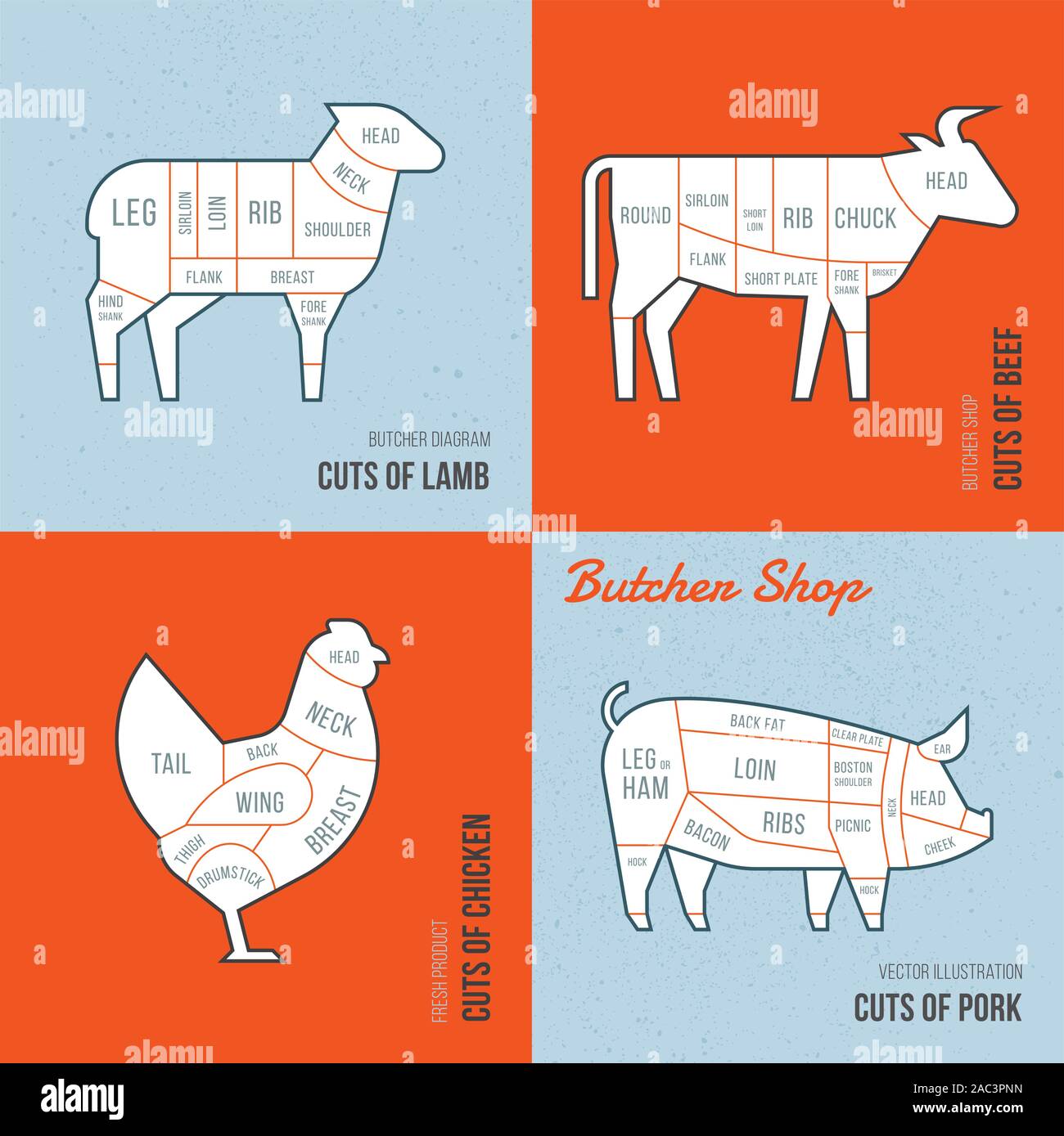 Impostare una vista schematica degli animali per il Butcher Shop. Illustrazione Vettoriale