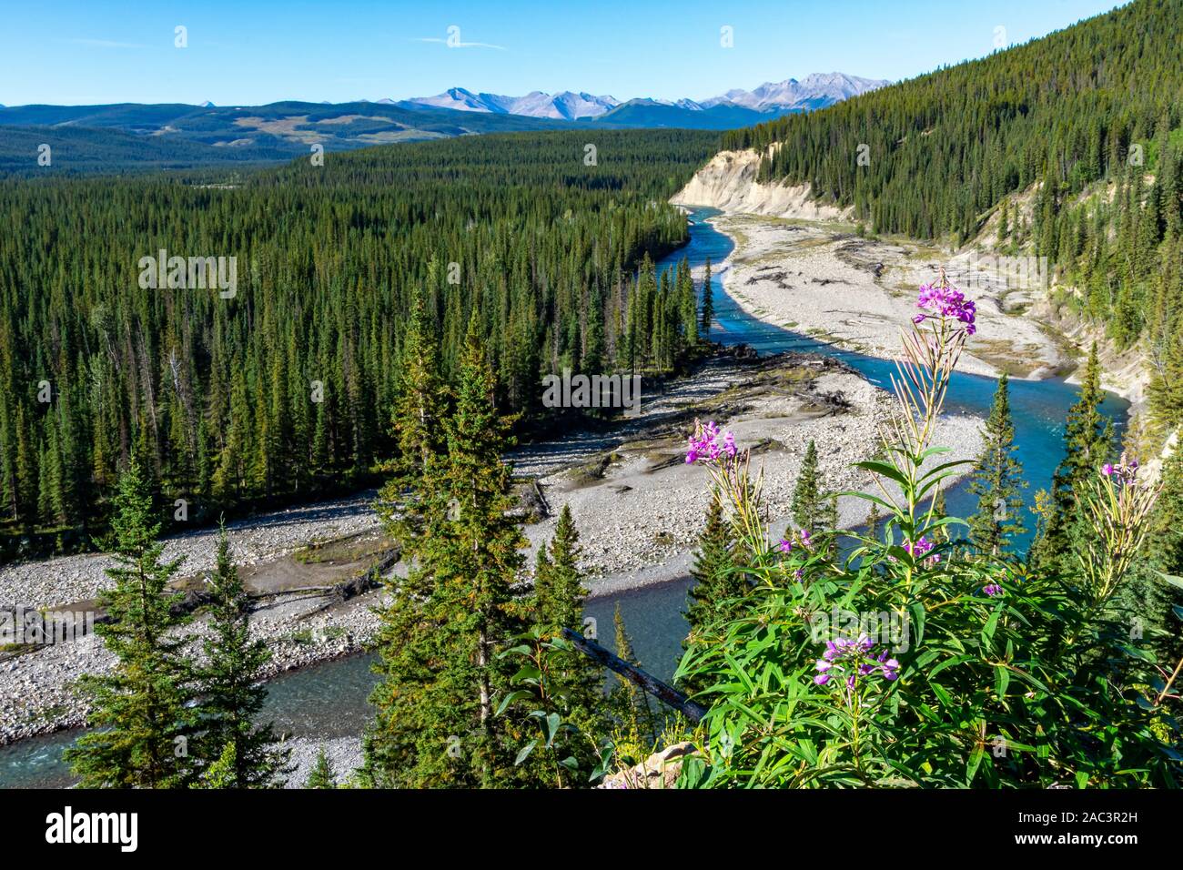 La montagna bella vista con un fiume di rotolamento, pini, montagne in lontananza e un cielo nuvoloso. Foto Stock