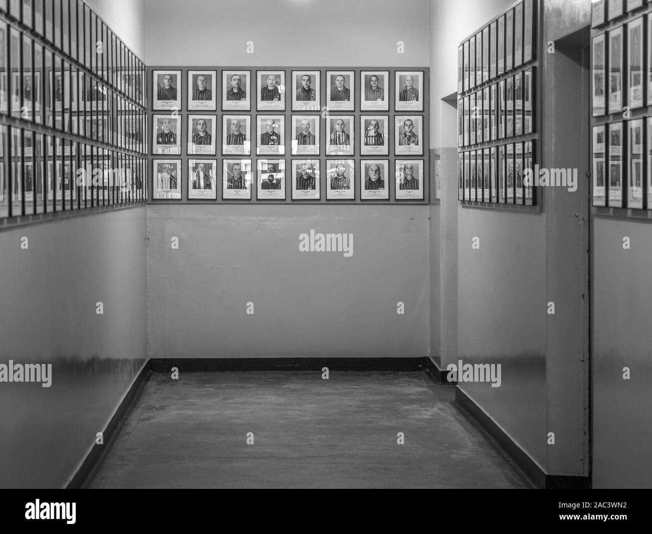 Auschwitz , Oświęcim, Polonia - 05 Giugno 2019: Galleria fotografica del ritratto di prigionieri in Auschwitz-Birkenau Museo di Stato. Auschwitz Birkenau nazi conc Foto Stock