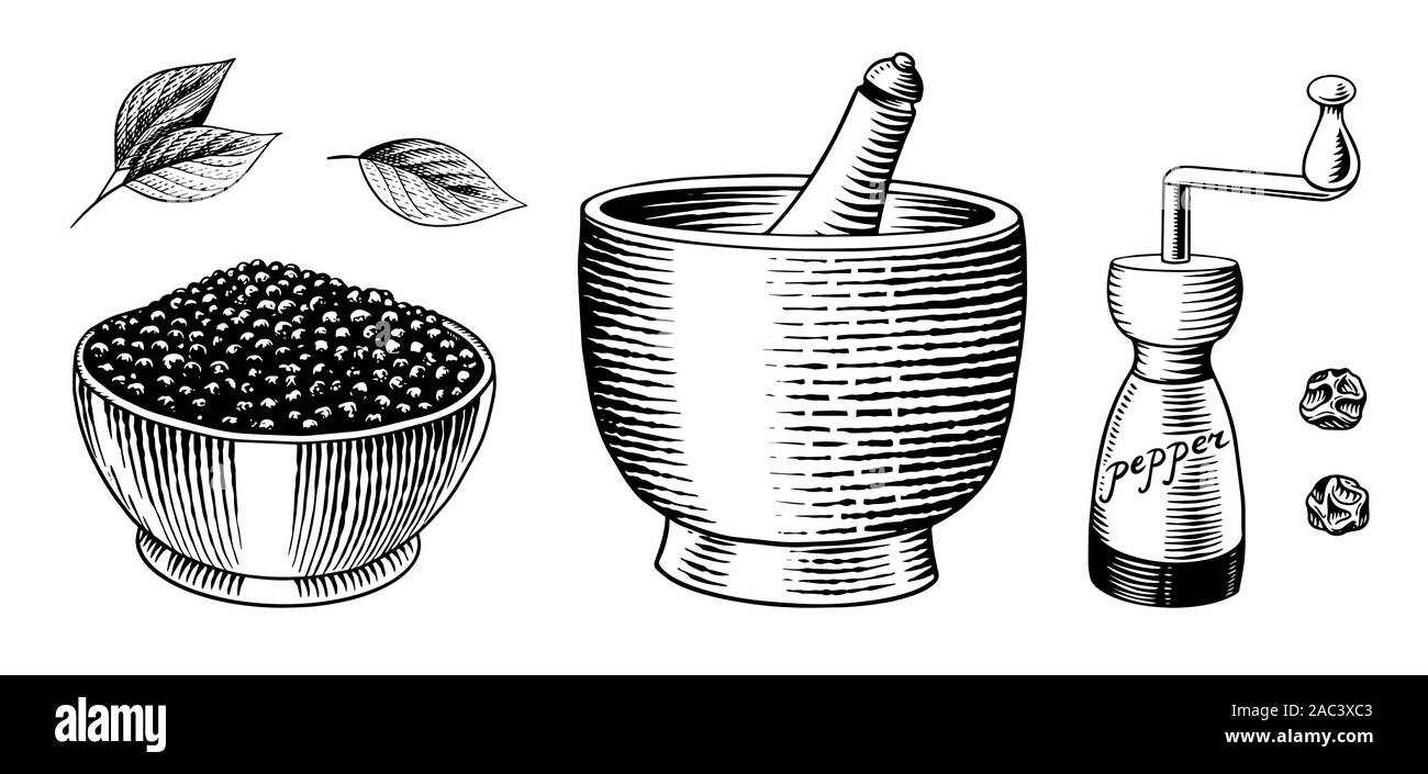 Pepe nero impostato in stile vintage. Mortaio e pestello, il pepe della Giamaica o peppe, Mill e semi secchi. Incisi disegnati a mano disegno vettoriale per lo sfondo Illustrazione Vettoriale