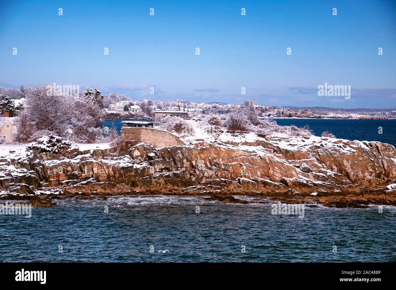 Coperta di neve alberi e il Maine costa rocciosa a Fort Williams Park a Portland Maine su un soleggiato blue sky giorno. Foto Stock