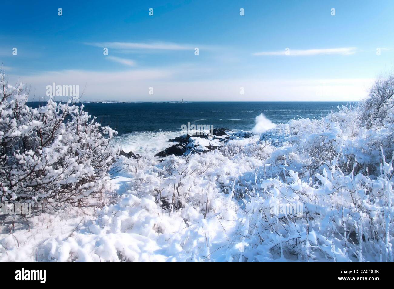 Neve coperto di vegetazione e il Maine costa rocciosa a Fort Williams Park a Portland Maine su un soleggiato blue sky giorno. Foto Stock